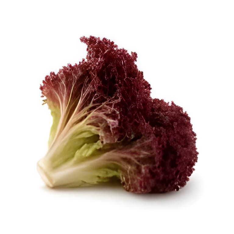 Akdeniz Salatası