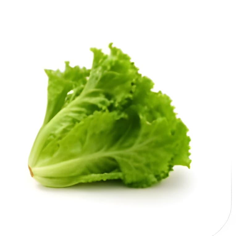 Kıvırcık