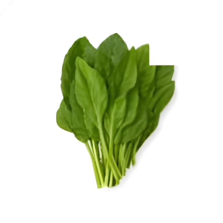 Pazı Demet