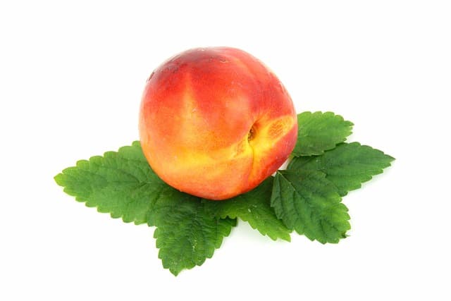 Nektarin Kırmızı