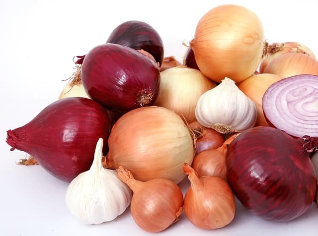 Kuru Soğan