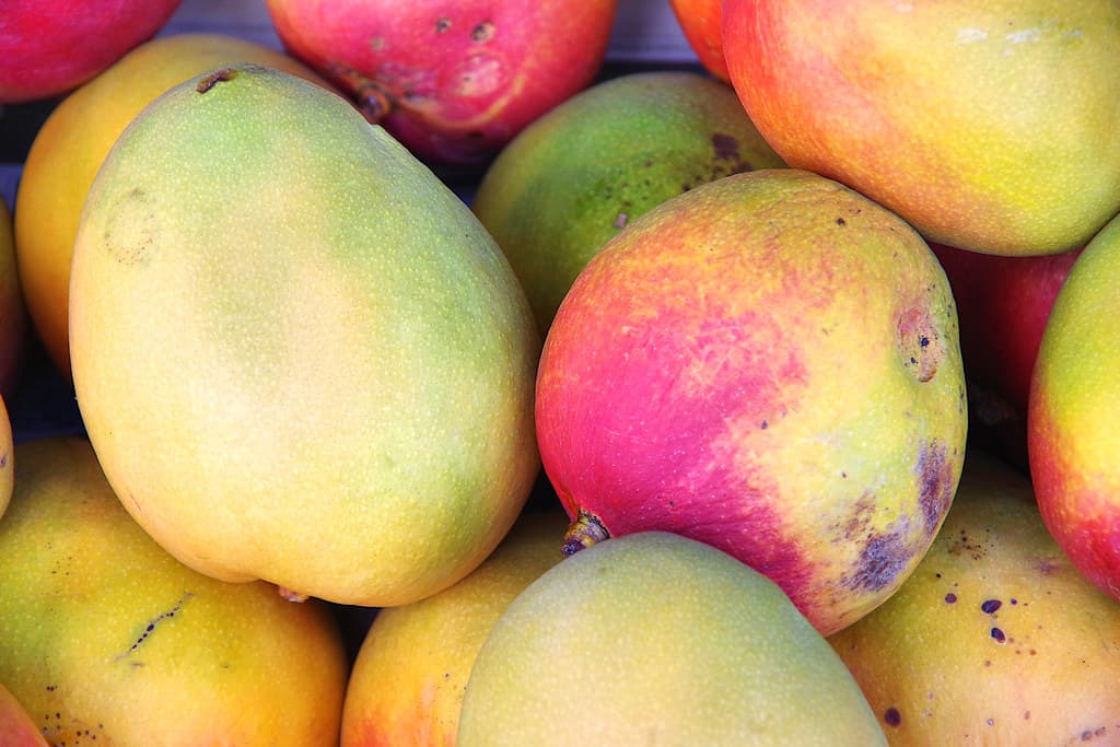 Yemeye Hazır Mango