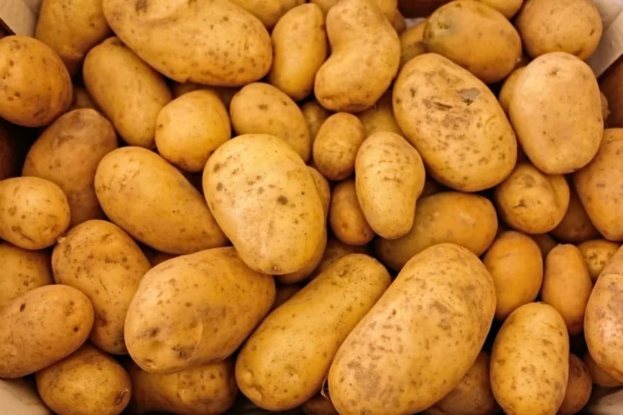 Baby Patates