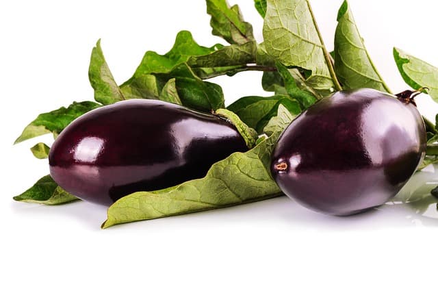 Patlıcan