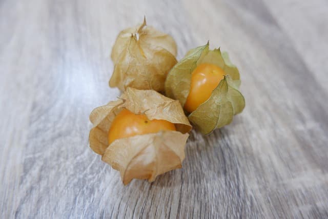 Excelente Physalis (100 g)